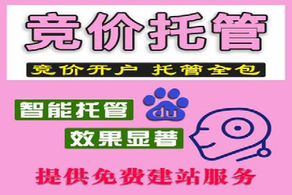 案例研究：关键词竞价排名实战经验